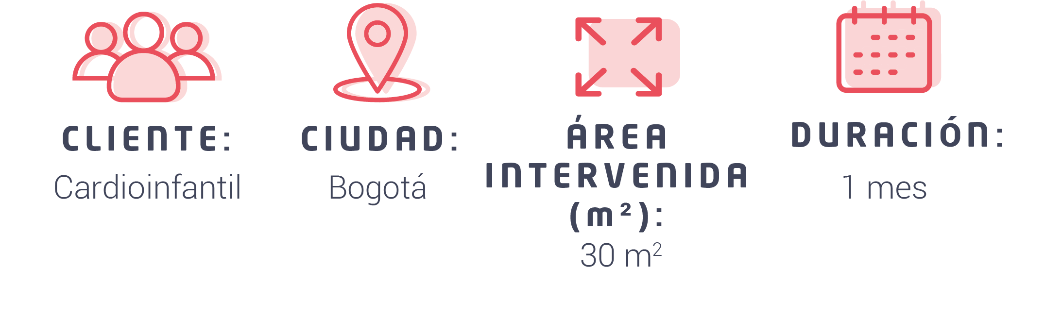 Iconografía Acceso Pediatría Cardio